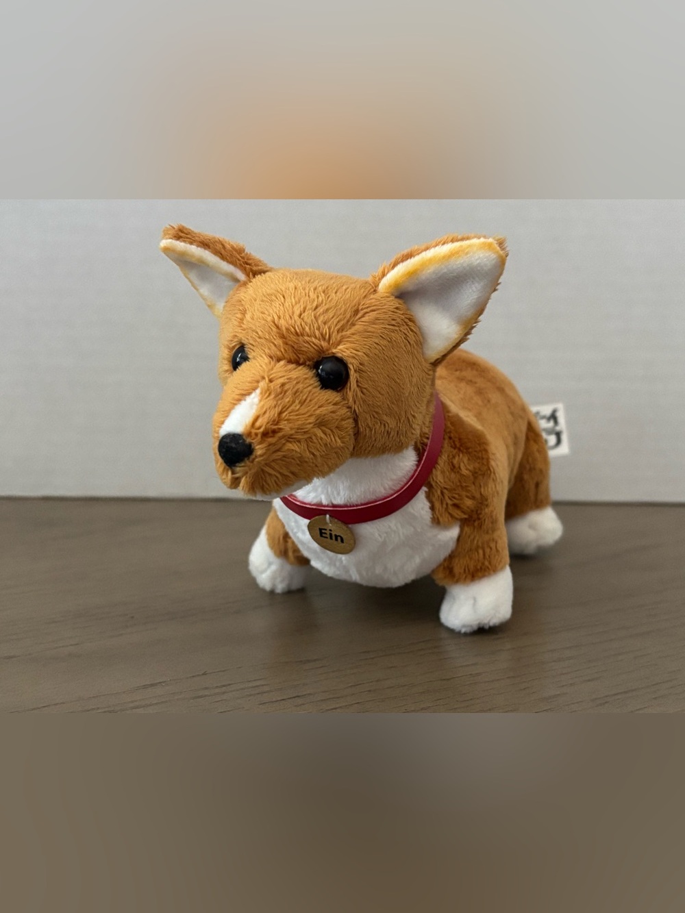 Cowboy Bebop Ein Plush 9.5" Stuffed Animal Corgi Dog Anime Toy